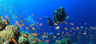 Grand Island Scuba DIving