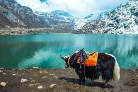 Gangtok Tour Packages