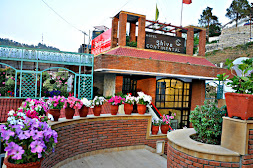 Hotel Shiva Continental