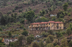 The orchard at peora Estates