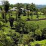 Parisons Plantation Experiences by ABAD