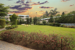 Humming Bird Resort