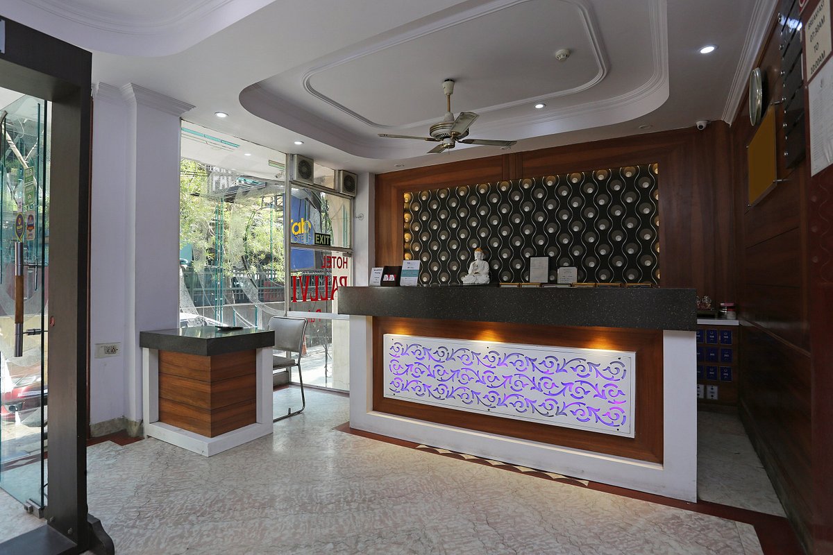 hotel pallavi palace