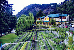 Shervani Hilltop Nainital