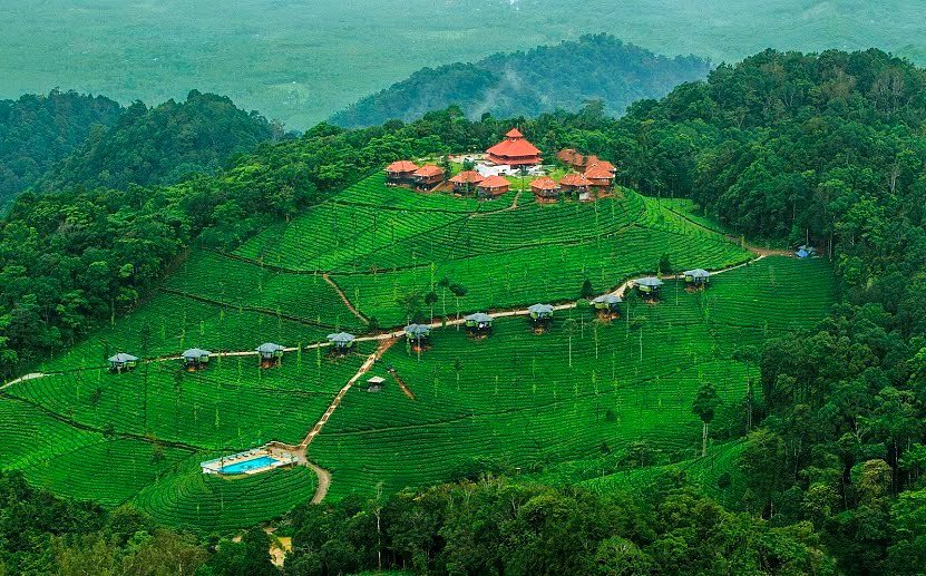 Wild planet resort