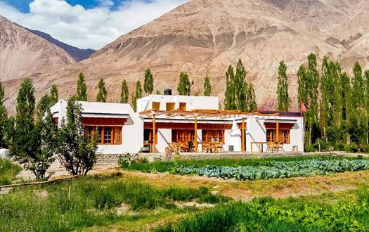 Nubra Organic Retreat