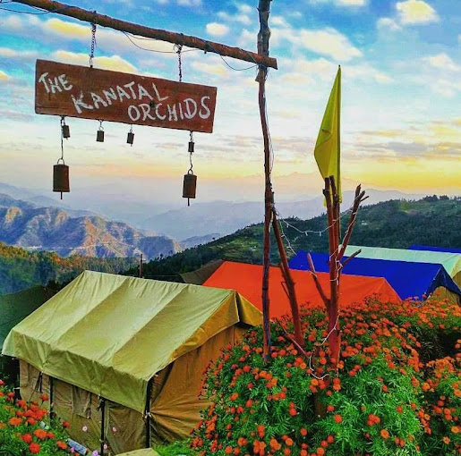 The Kanatal Orchids