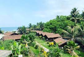 Lotus Sutra Goa
